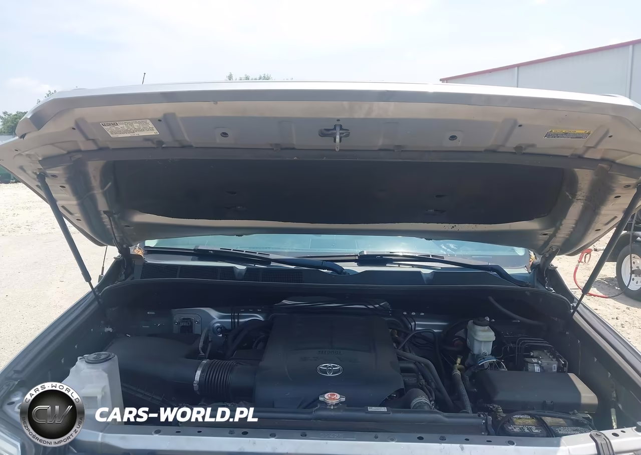 2019 Toyota Tundra Platinum 5.7L V8 VIN:5TFAY5F1XKX839139 - 10