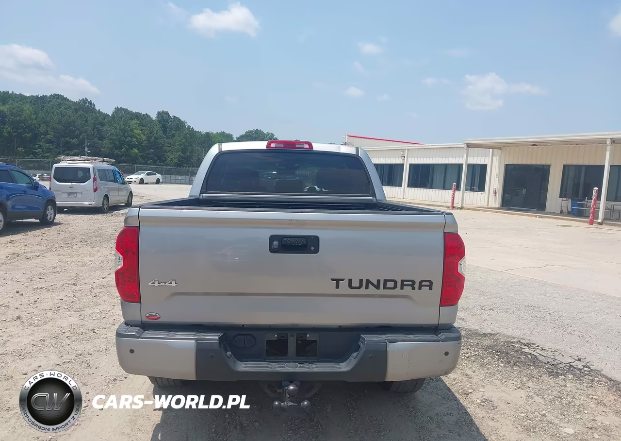 2019 Toyota Tundra Platinum 5.7L V8 VIN:5TFAY5F1XKX839139 - 16