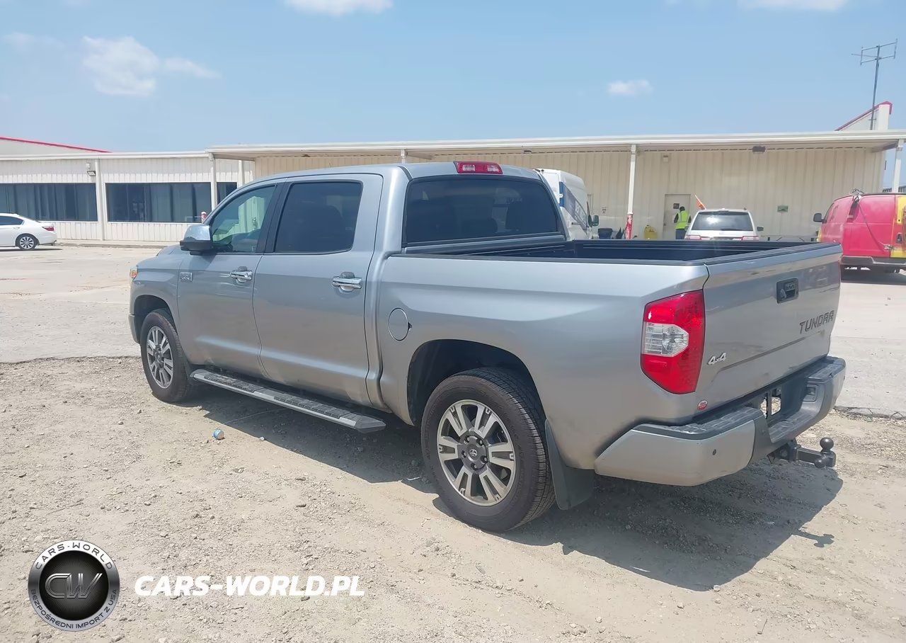 2019 Toyota Tundra Platinum 5.7L V8 VIN:5TFAY5F1XKX839139 - 3