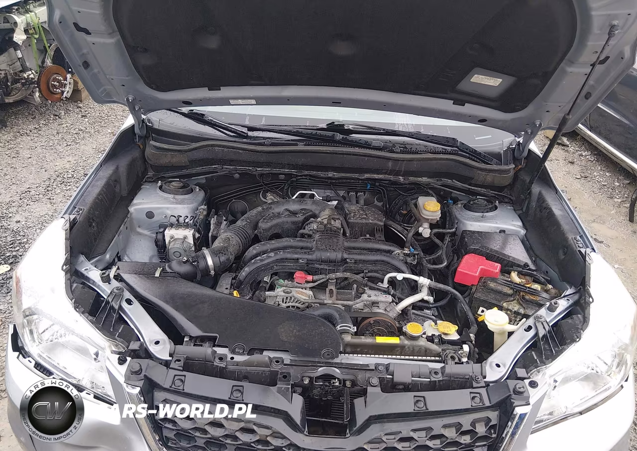 2016 Subaru Forester 2.5I VIN:JF2SJABC5GH551833 - 10