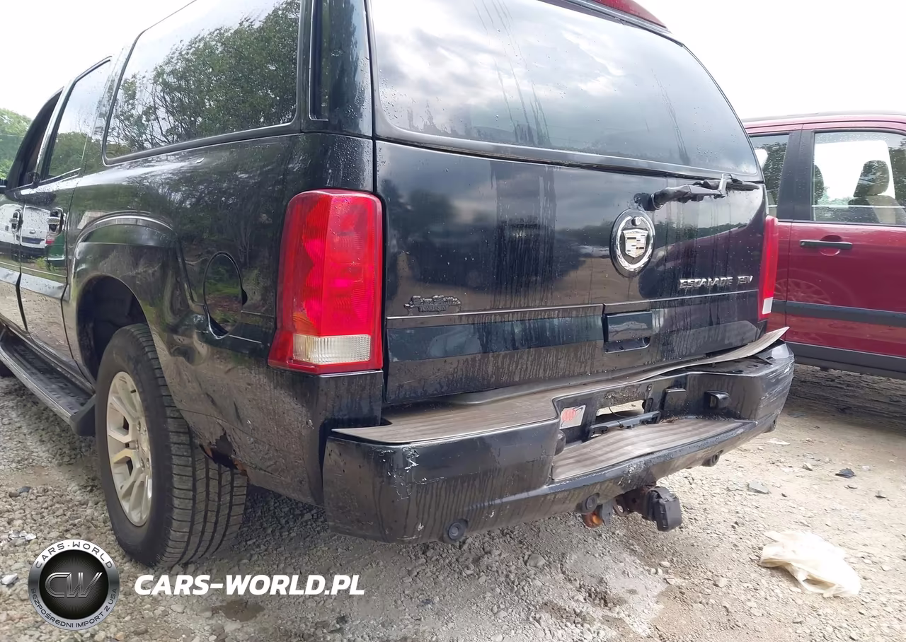 2004 Cadillac Escalade Esv Standard VIN:3GYFK66N44G110376 - 13