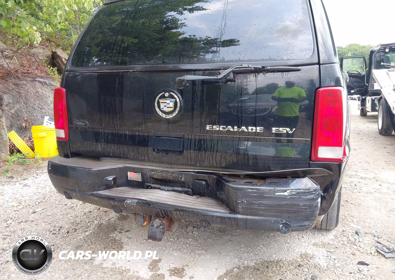 2004 Cadillac Escalade Esv Standard VIN:3GYFK66N44G110376 - 6