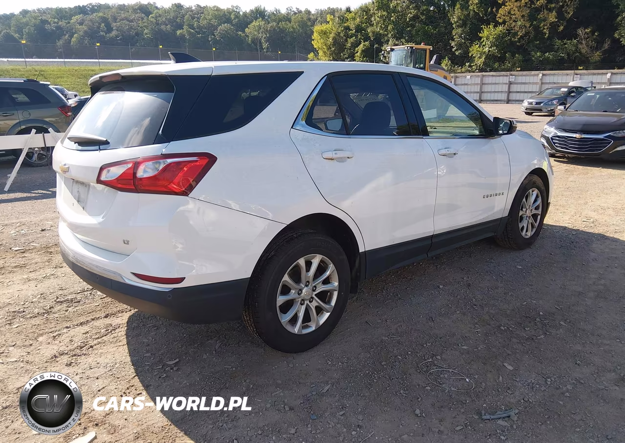 2019 Chevrolet Equinox Lt VIN:2GNAXJEV5K6153260 - 4