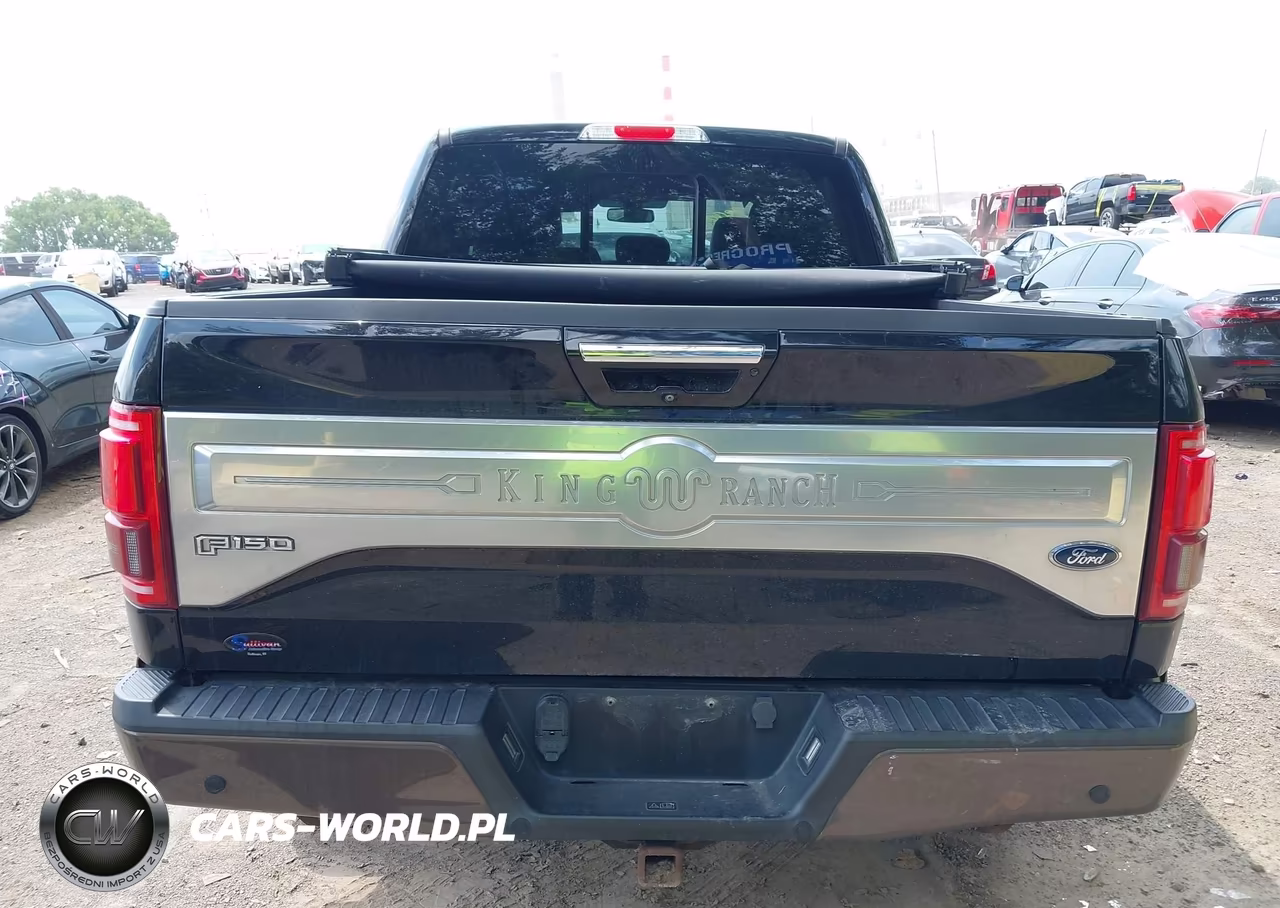 2017 Ford F-150 King Ranch VIN:1FTEW1EG4HFC33341 - 16