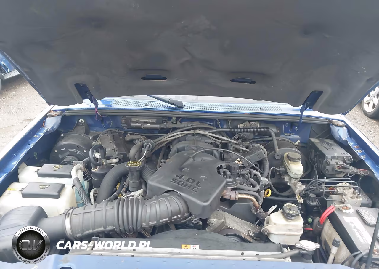 2005 Ford Ranger Edge-Fx4 Level Ii-Fx4 Off-Road-Xlt VIN:1FTZR45E65PA19028 - 10