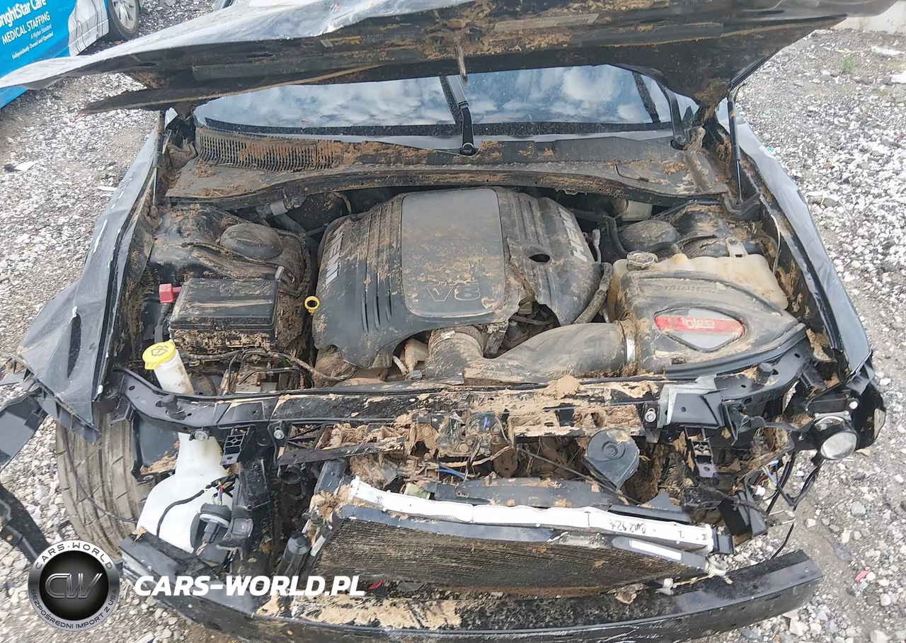 DODGE CHARGER R- VIN:2C3CDXCT3MH652004 - 10