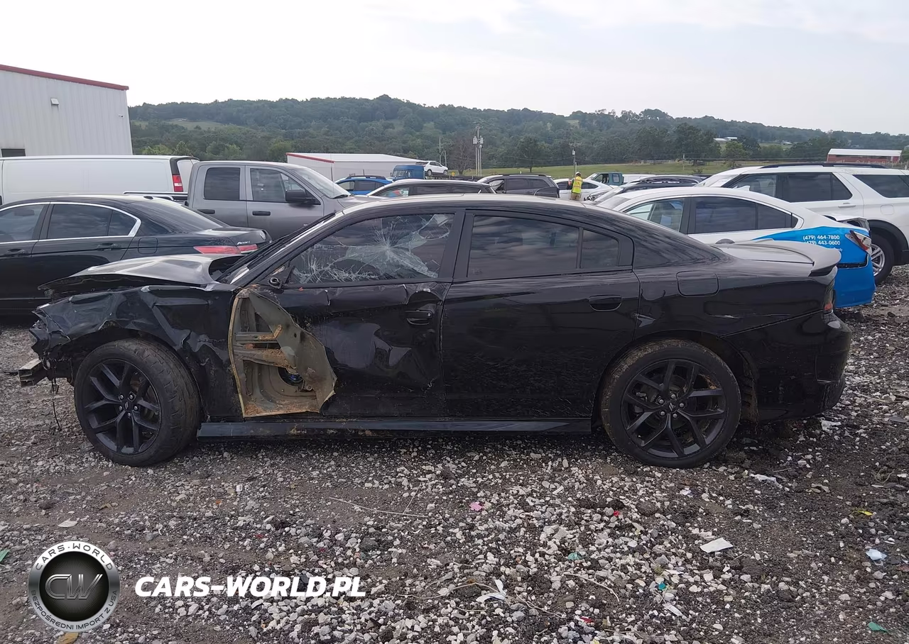 DODGE CHARGER R- VIN:2C3CDXCT3MH652004 - 14