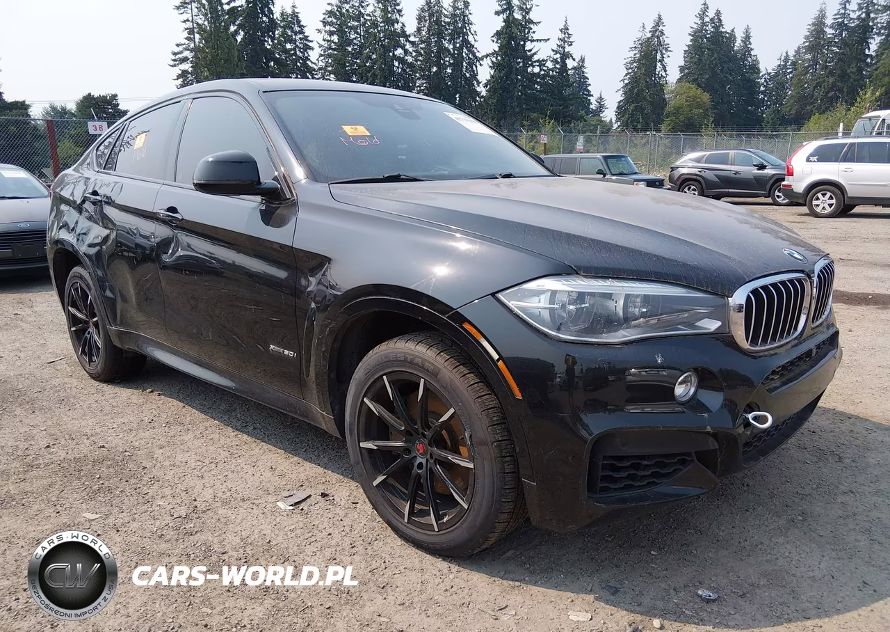 2016 BMW X6 xDrive50I VIN:5UXKU6C53G0R33844 - 1