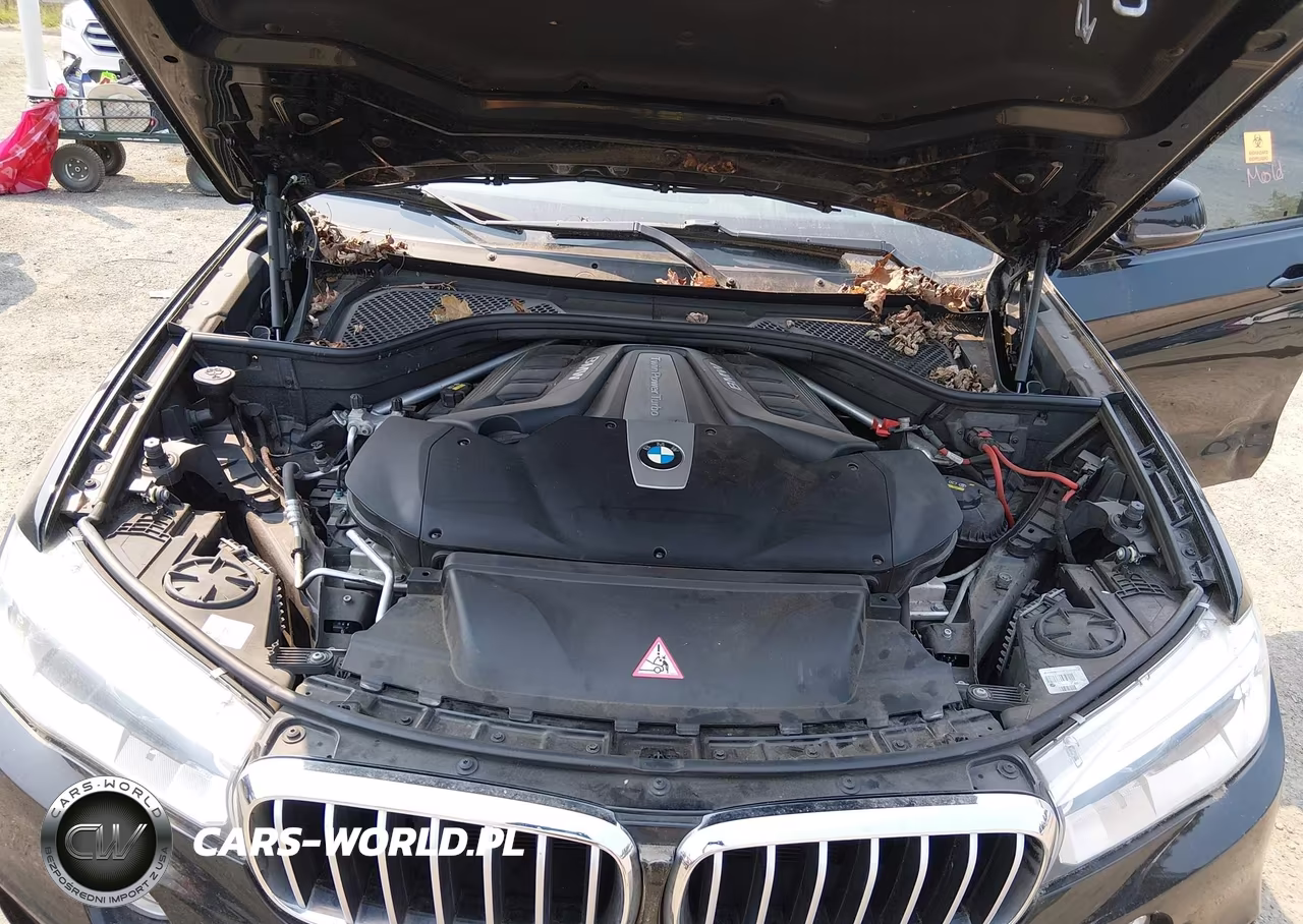 2016 BMW X6 xDrive50I VIN:5UXKU6C53G0R33844 - 10