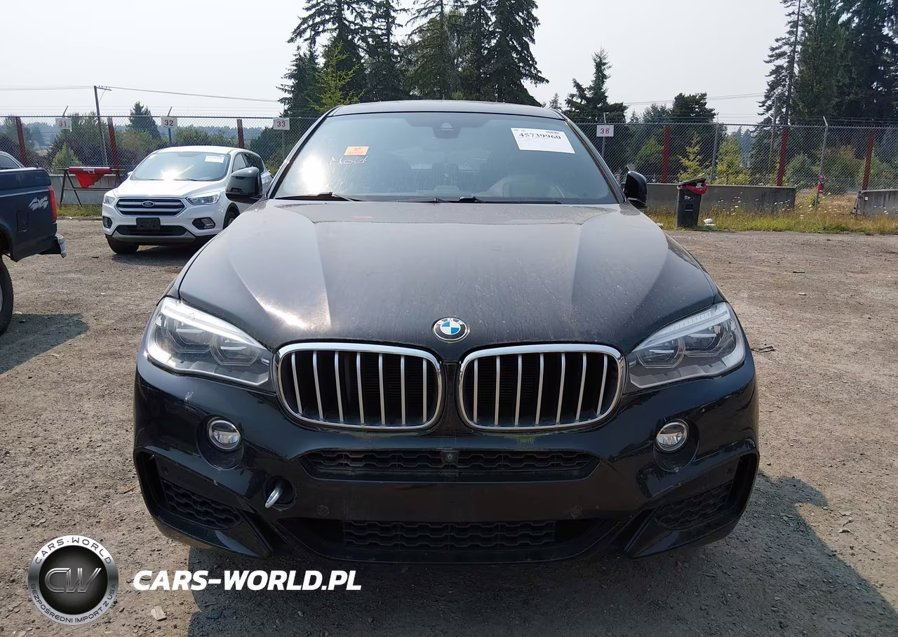 2016 BMW X6 xDrive50I VIN:5UXKU6C53G0R33844 - 12