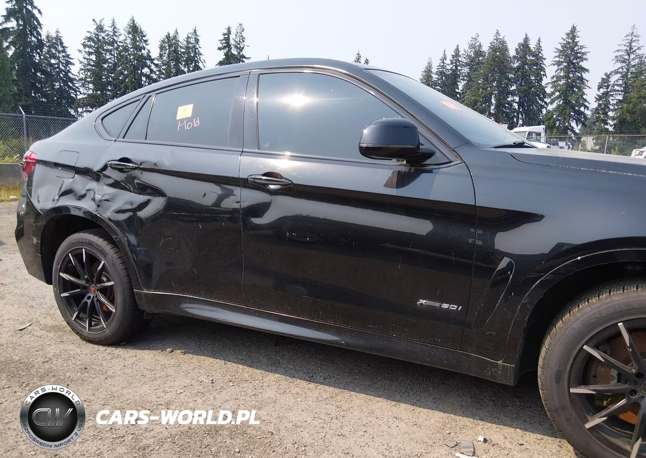 2016 BMW X6 xDrive50I VIN:5UXKU6C53G0R33844 - 13