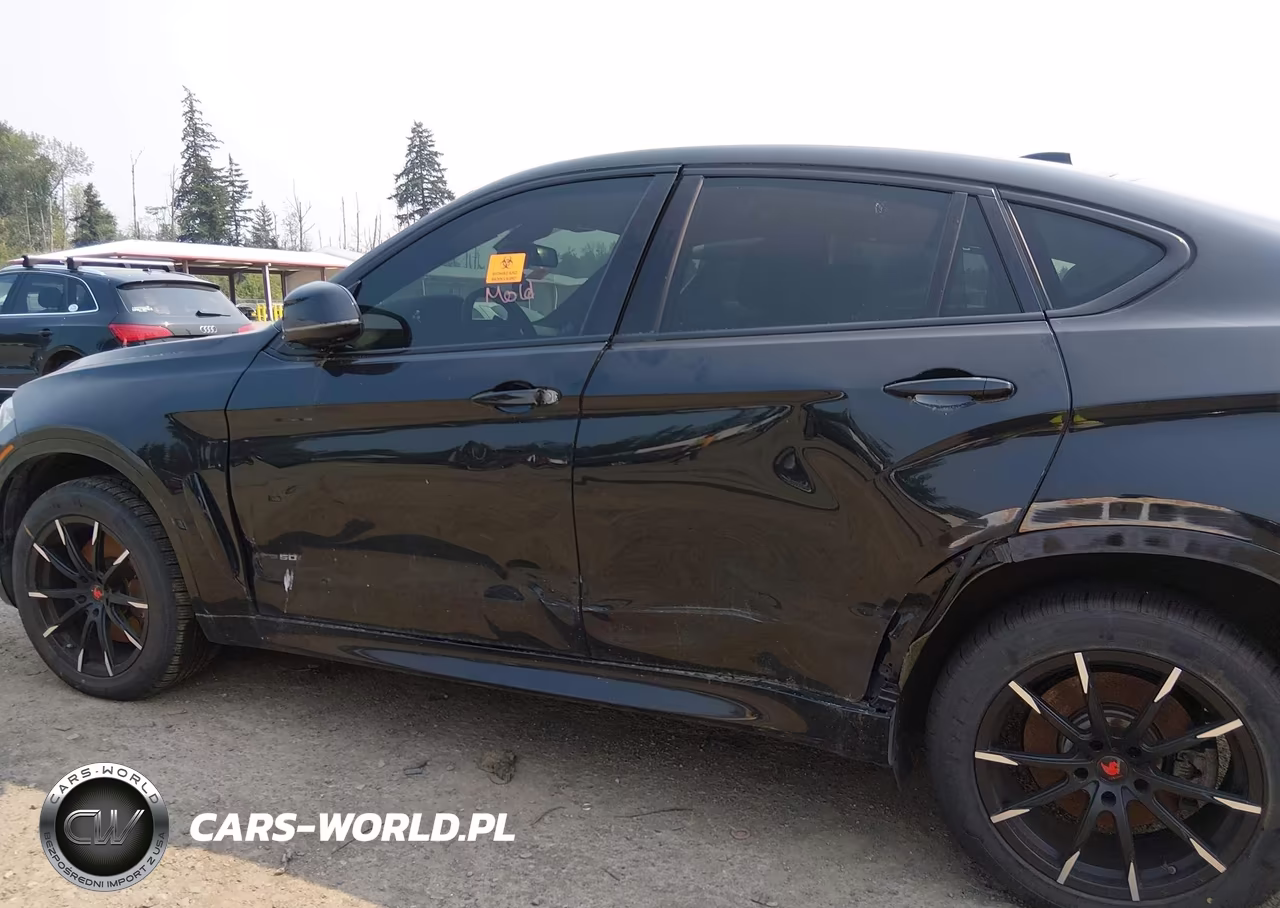 2016 BMW X6 xDrive50I VIN:5UXKU6C53G0R33844 - 14
