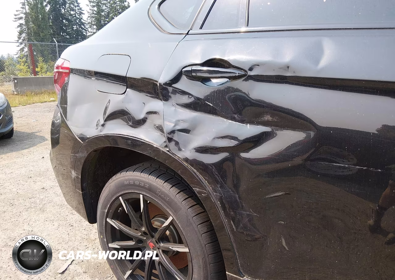 2016 BMW X6 xDrive50I VIN:5UXKU6C53G0R33844 - 17