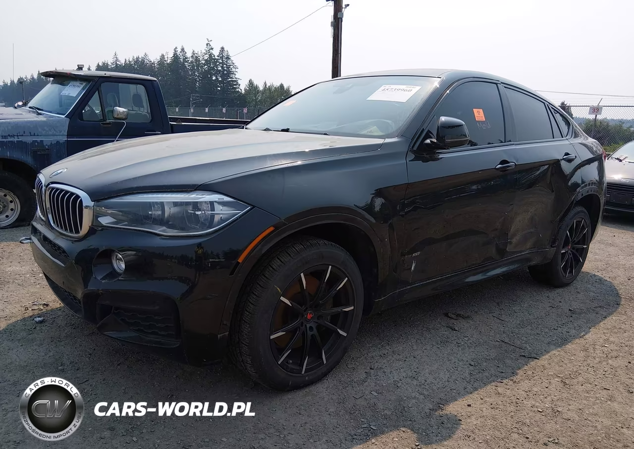 2016 BMW X6 xDrive50I VIN:5UXKU6C53G0R33844 - 2