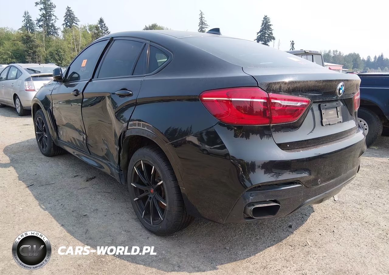 2016 BMW X6 xDrive50I VIN:5UXKU6C53G0R33844 - 3