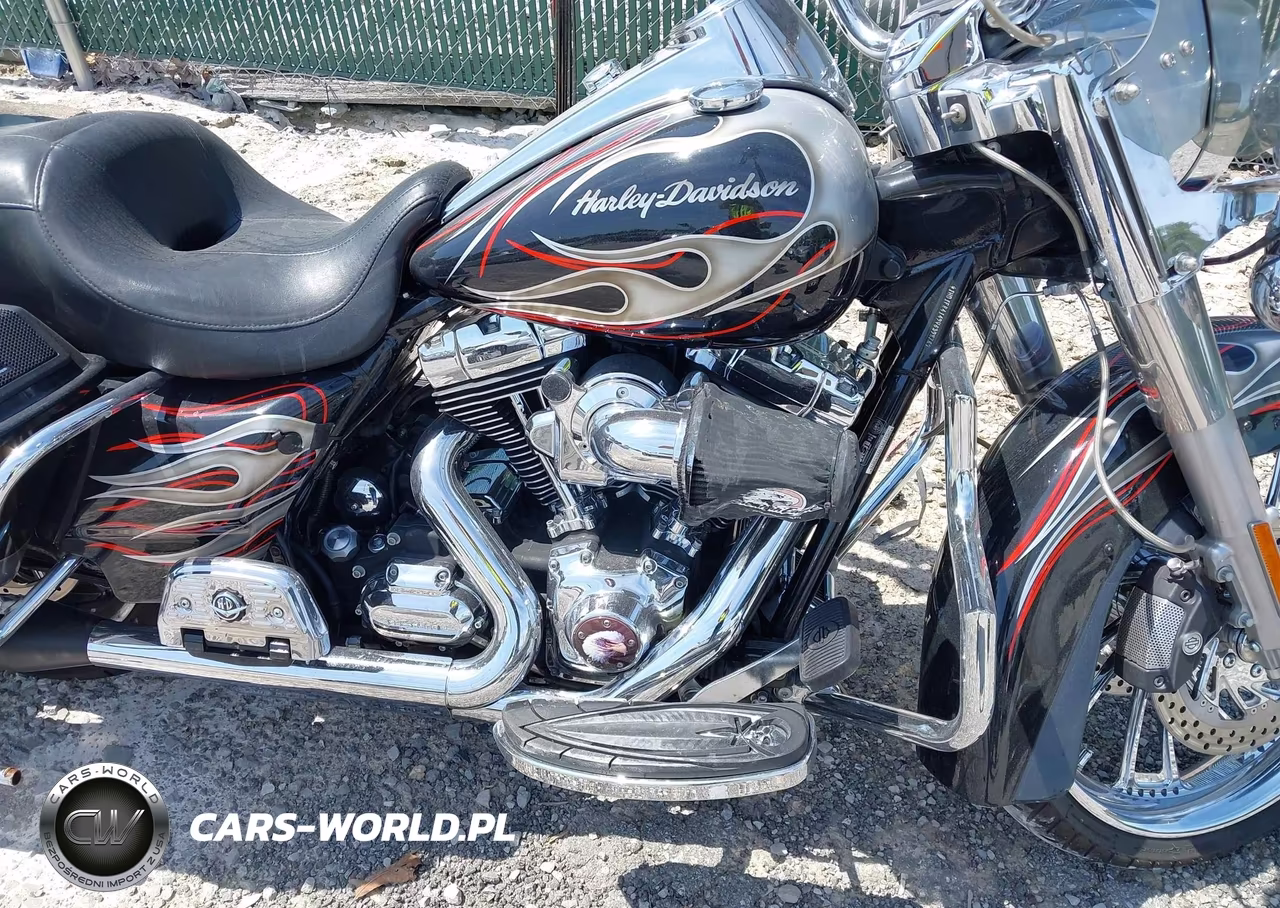2009 Harley-Davidson Flhrc VIN:1HD1FR4149Y639876 - 8