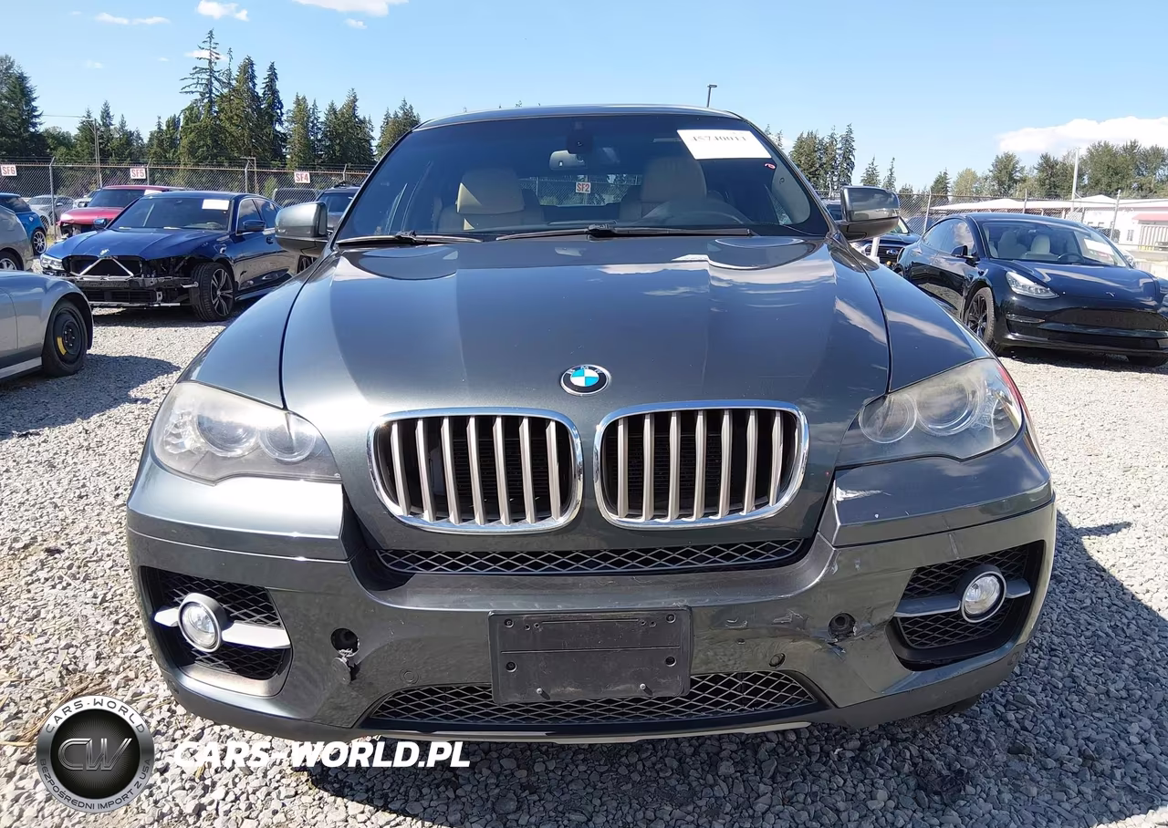 2009 BMW X6 xDrive50I VIN:5UXFG83529LZ93121 - 12