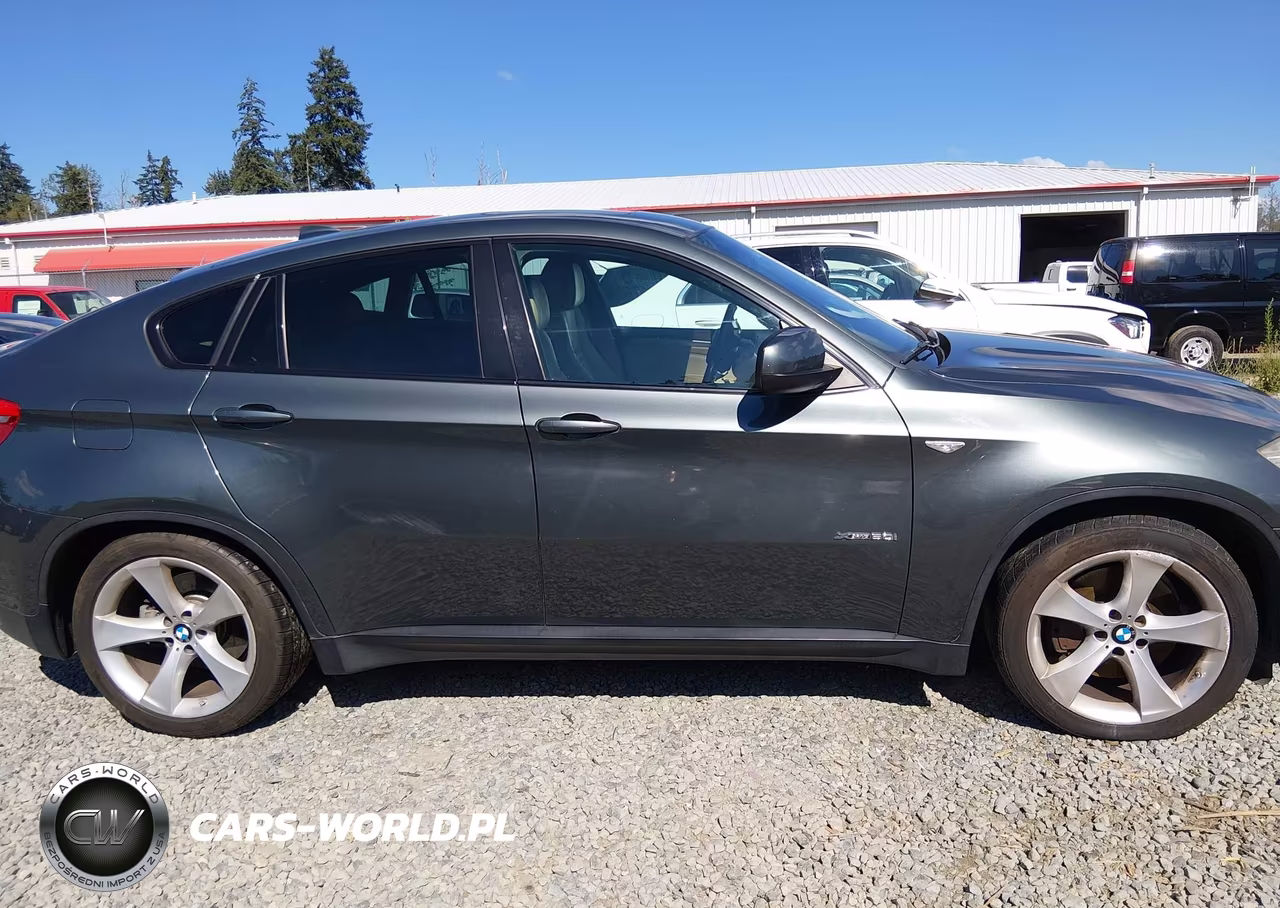2009 BMW X6 xDrive50I VIN:5UXFG83529LZ93121 - 13