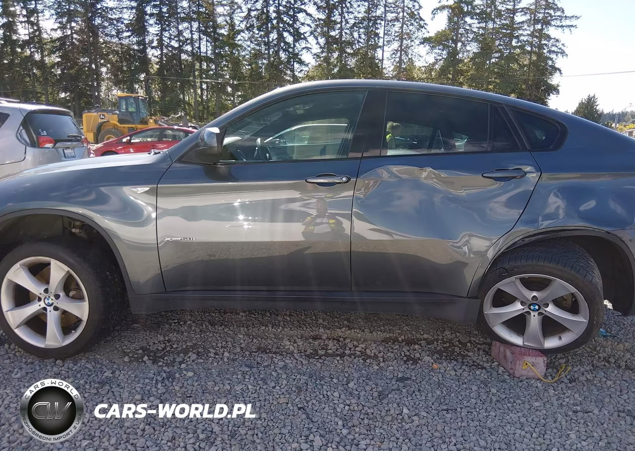 2009 BMW X6 xDrive50I VIN:5UXFG83529LZ93121 - 14