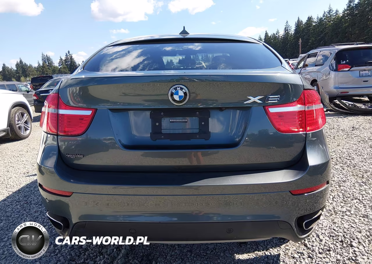 2009 BMW X6 xDrive50I VIN:5UXFG83529LZ93121 - 16