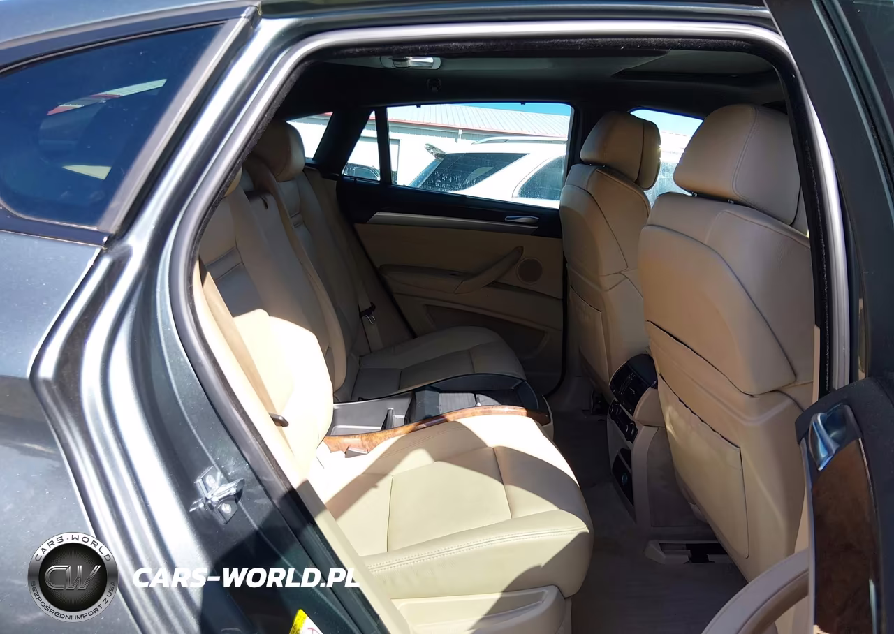 2009 BMW X6 xDrive50I VIN:5UXFG83529LZ93121 - 18