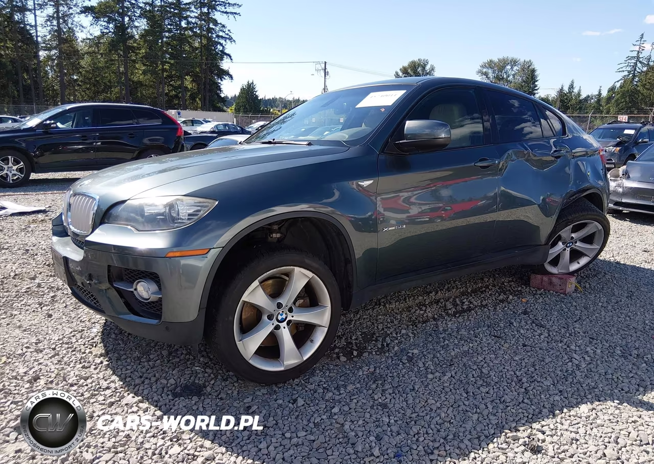 2009 BMW X6 xDrive50I VIN:5UXFG83529LZ93121 - 2