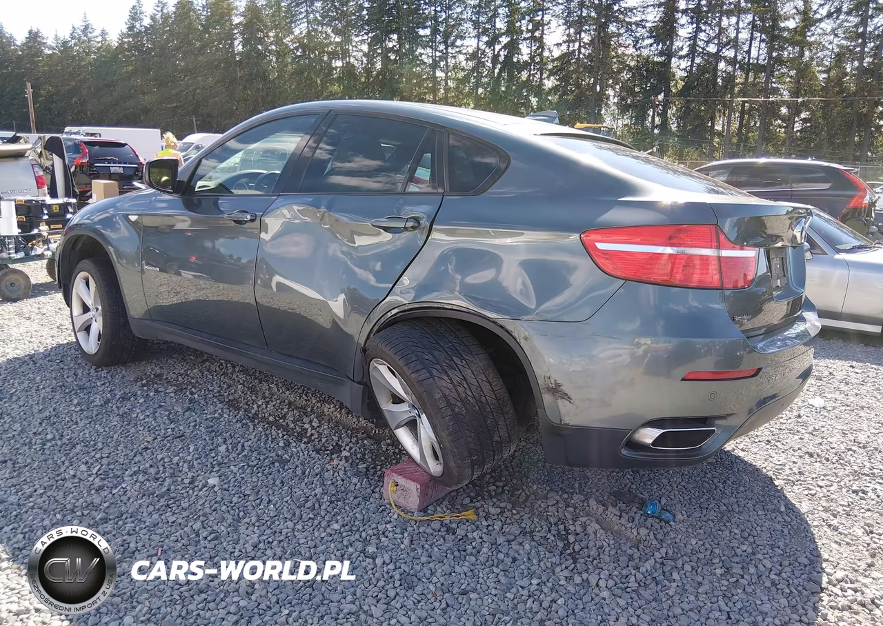 2009 BMW X6 xDrive50I VIN:5UXFG83529LZ93121 - 3