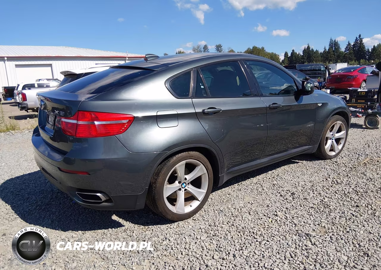 2009 BMW X6 xDrive50I VIN:5UXFG83529LZ93121 - 4