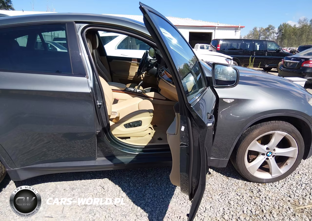 2009 BMW X6 xDrive50I VIN:5UXFG83529LZ93121 - 5