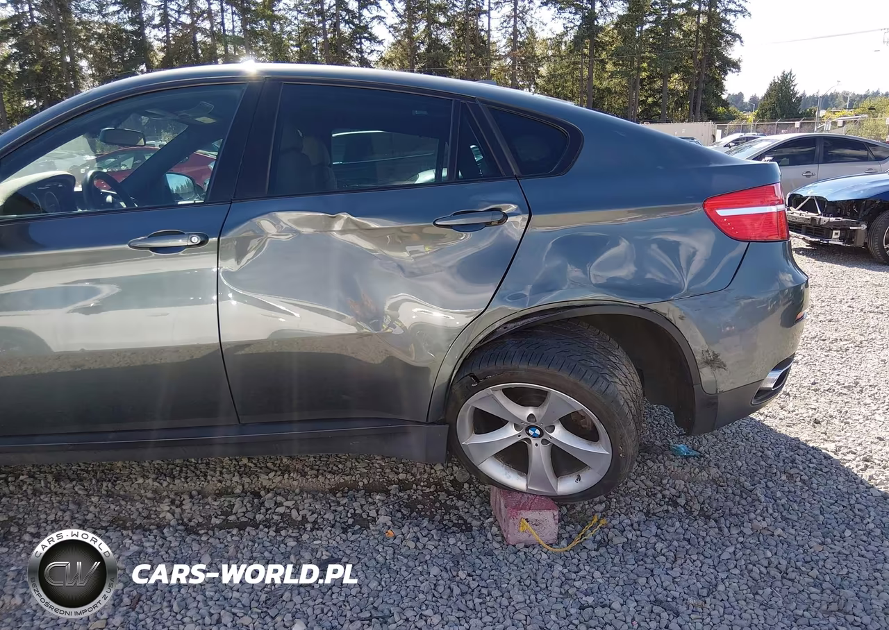 2009 BMW X6 xDrive50I VIN:5UXFG83529LZ93121 - 6