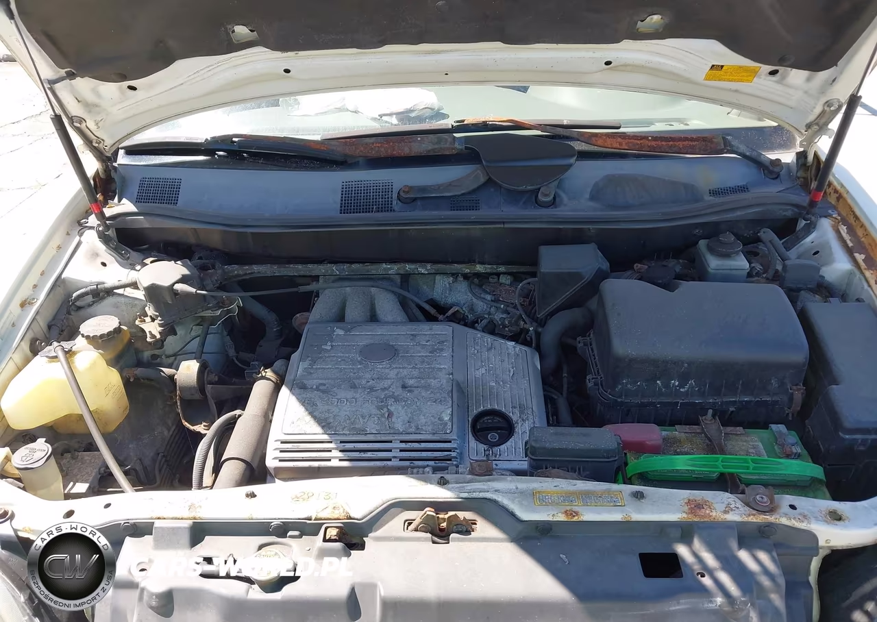 2000 Lexus Rx 300 VIN:JT6HF10U0Y0102895 - 10