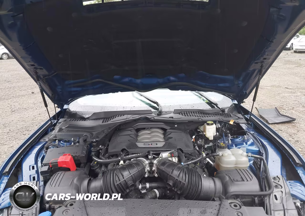 2024 Ford Mustang Gt Premium Fastback VIN:1FA6P8CF2R5405187 - 10