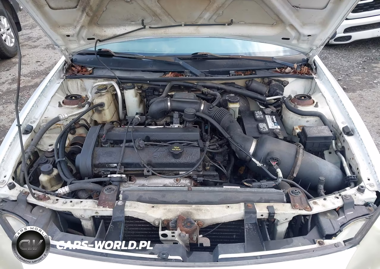 2002 Ford Escort Zx2 Deluxe-Zx2 Premium-Zx2 Standard VIN:3FAFP113X2R150601 - 10