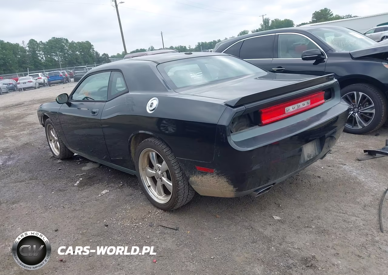 2010 Dodge Challenger R-T VIN:2B3CJ5DTXAH111715 - 3