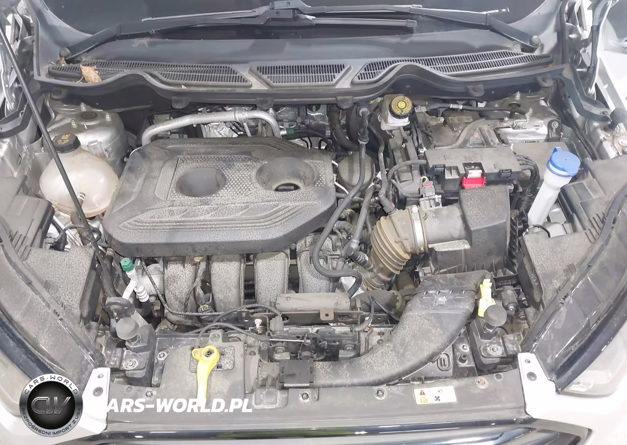 2019 Ford Ecosport Ses VIN:MAJ6S3JL2KC257229 - 10