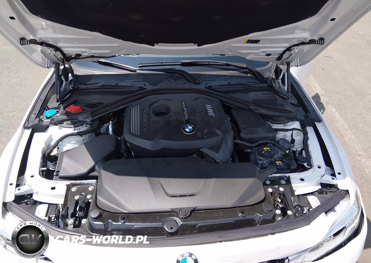2018 BMW 330I VIN:WBA8B9G55JNU99219 - 10