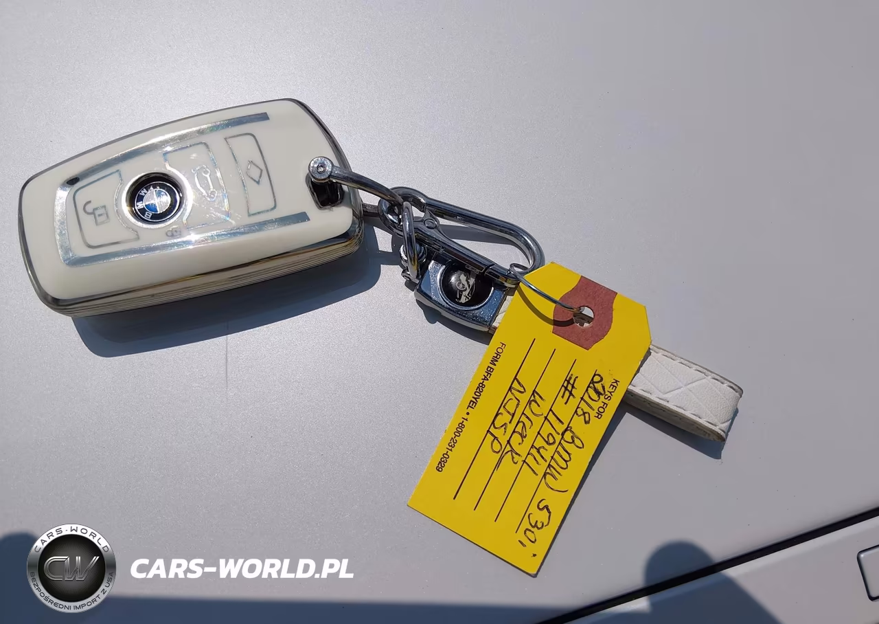 2018 BMW 330I VIN:WBA8B9G55JNU99219 - 11