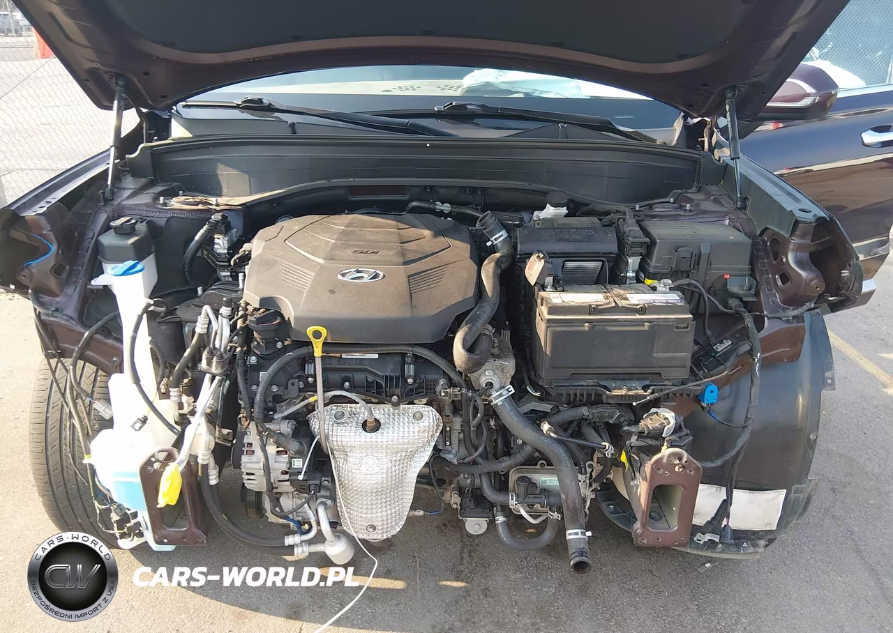 2022 Hyundai Palisade Sel VIN:KM8R44HEXNU337550 - 10