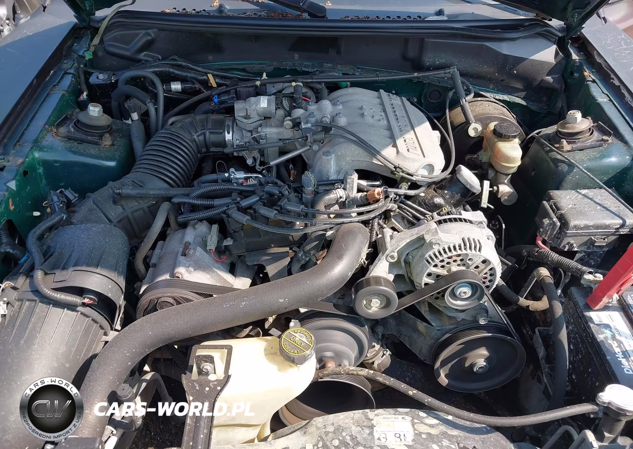 1998 Ford Mustang VIN:1FAFP4449WF274528 - 10