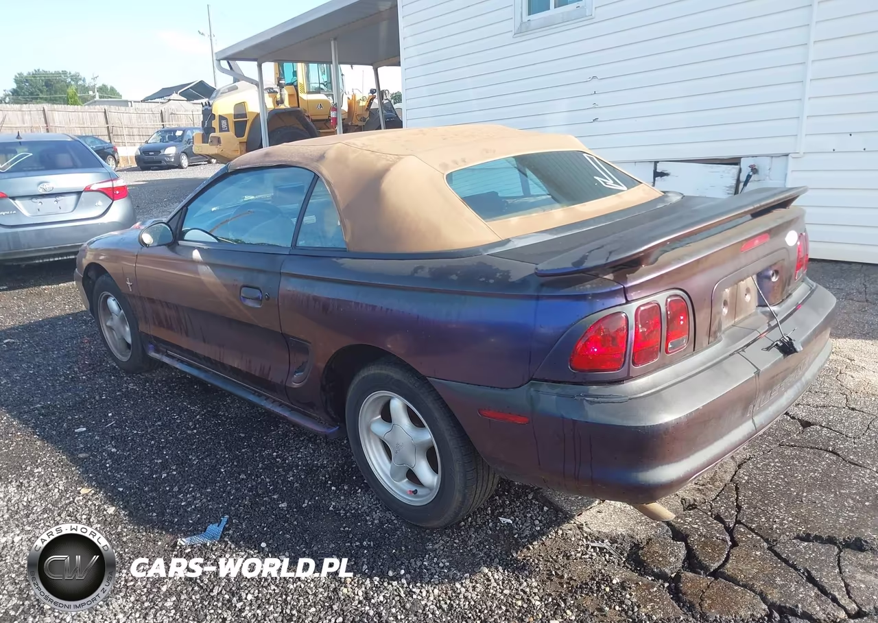 1998 Ford Mustang VIN:1FAFP4449WF274528 - 3