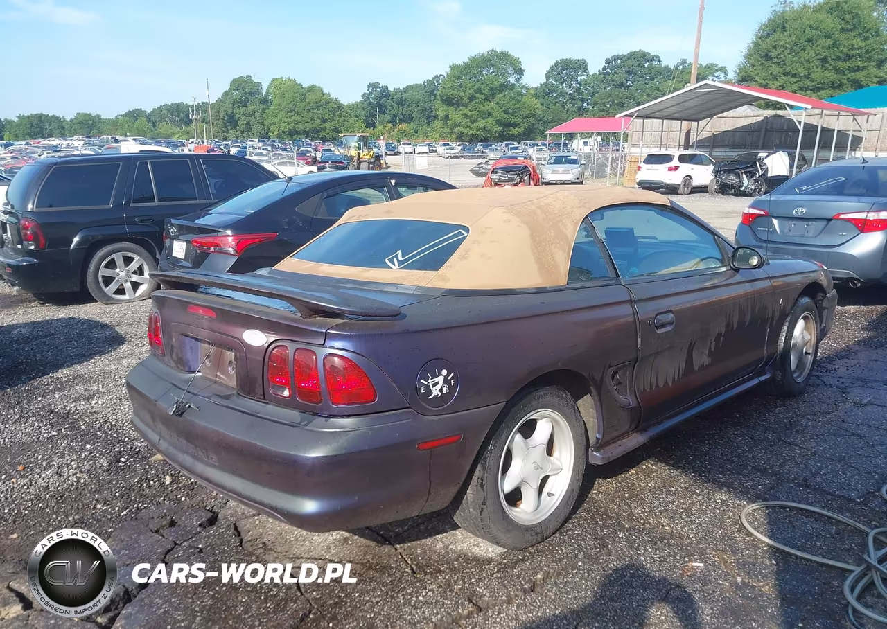 1998 Ford Mustang VIN:1FAFP4449WF274528 - 4