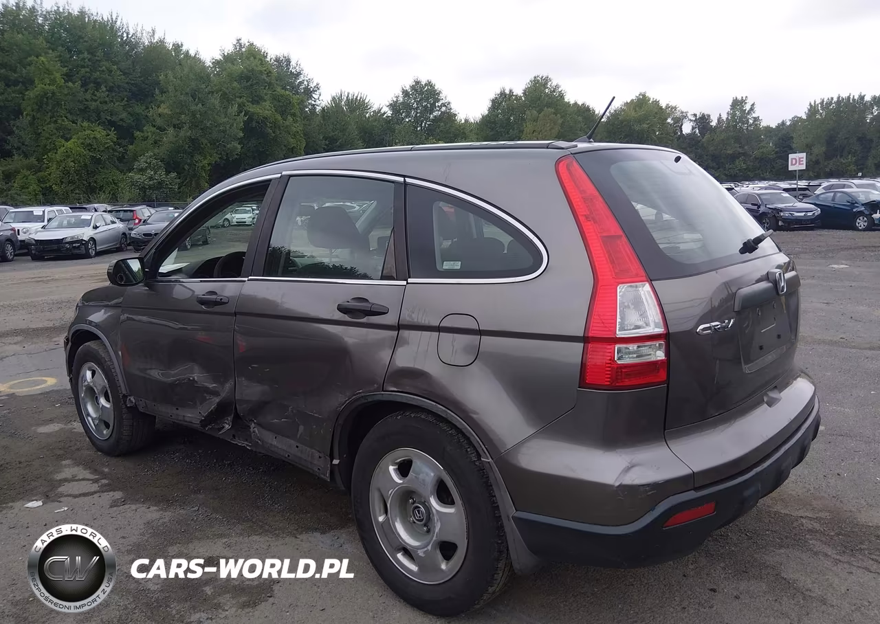 2009 Honda Cr-V Lx VIN:5J6RE48369L068503 - 3