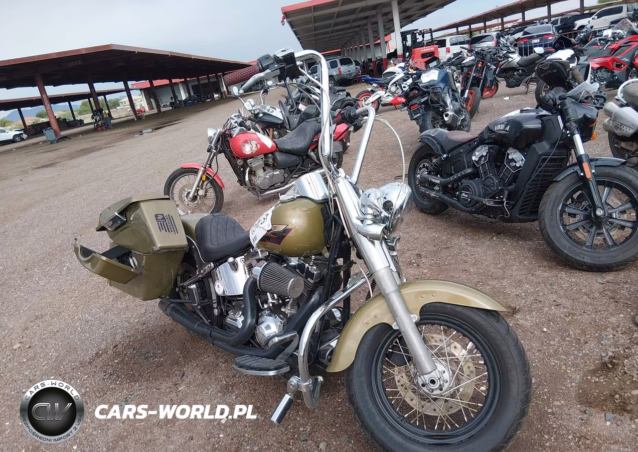 2007 Harley-Davidson Flstf