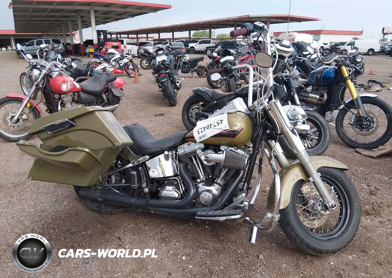 2007 Harley-Davidson Flstf VIN:1HD1BX5167Y033023 - 12