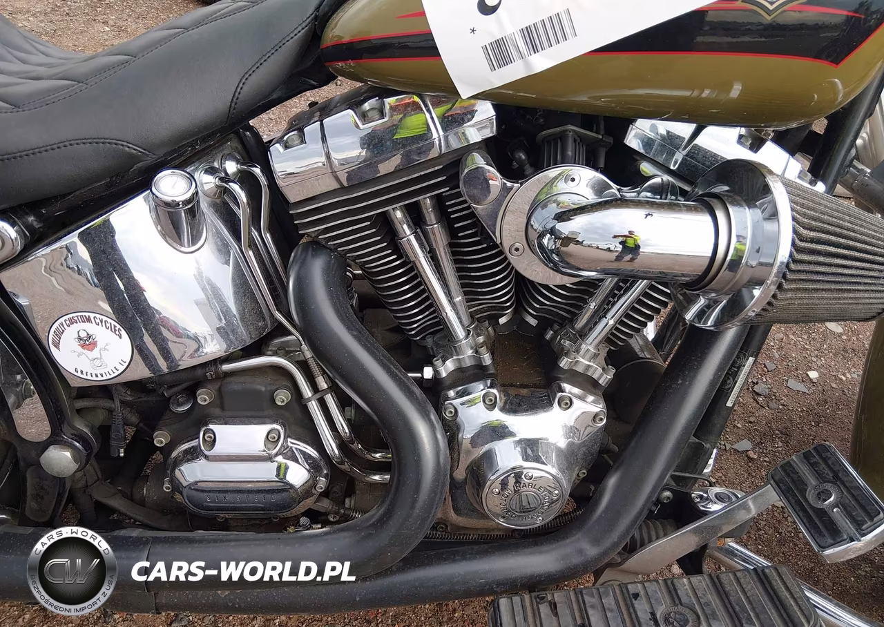 2007 Harley-Davidson Flstf VIN:1HD1BX5167Y033023 - 8