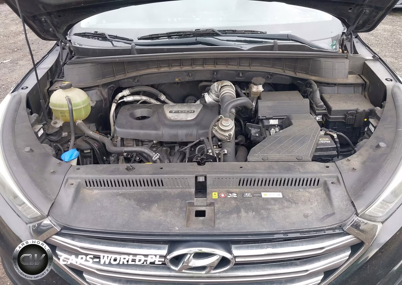 2016 Hyundai Tucson Limited VIN:KM8J33A29GU248016 - 10
