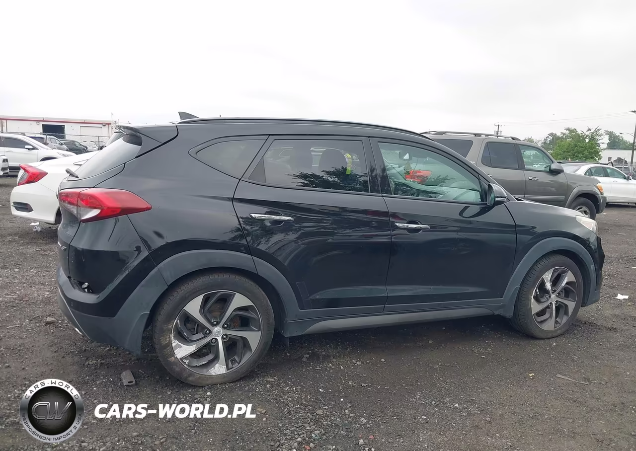 2016 Hyundai Tucson Limited VIN:KM8J33A29GU248016 - 13