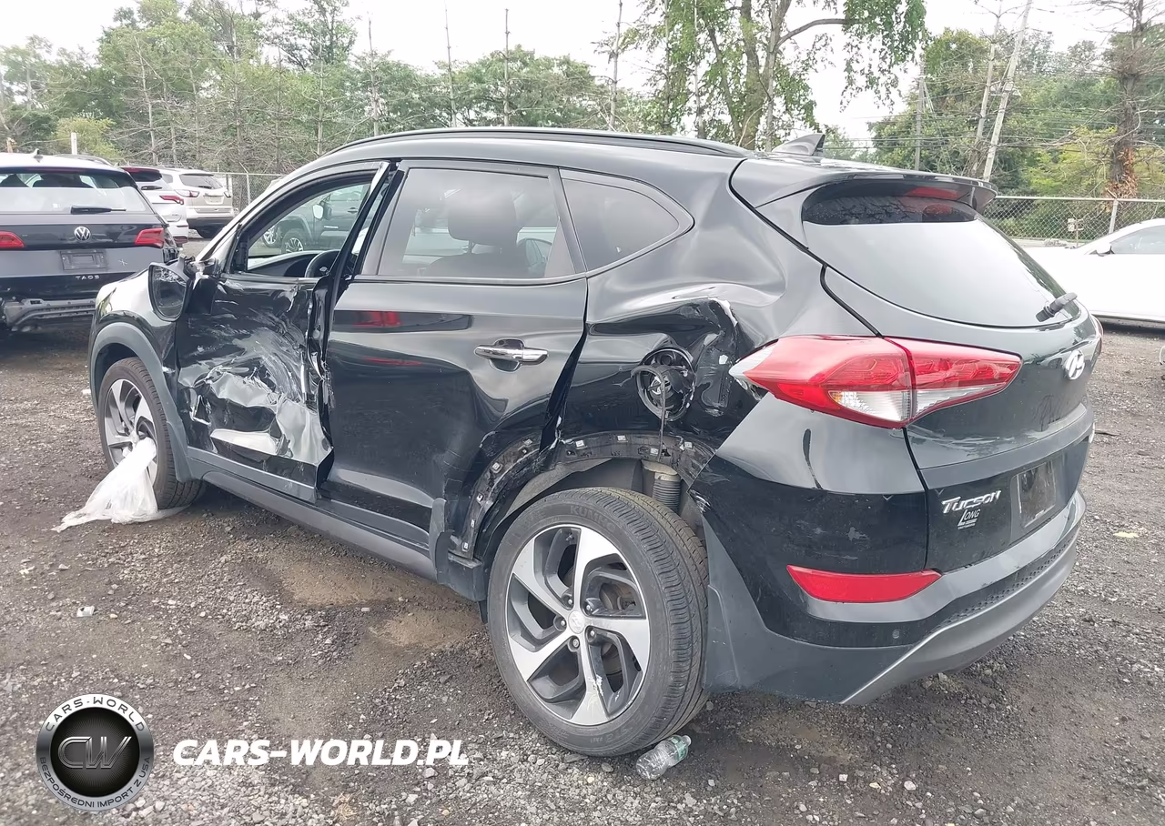 2016 Hyundai Tucson Limited VIN:KM8J33A29GU248016 - 3