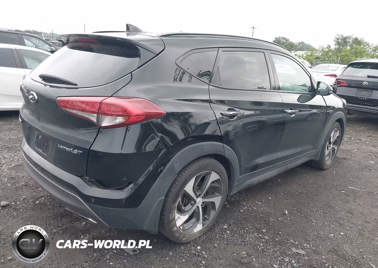2016 Hyundai Tucson Limited VIN:KM8J33A29GU248016 - 4