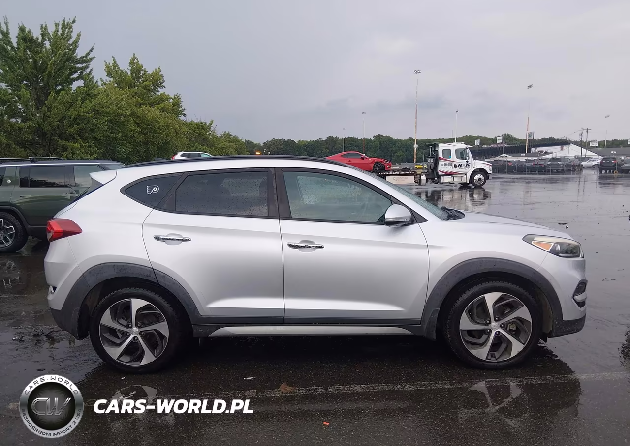 2017 Hyundai Tucson Limited VIN:KM8J33A24HU345898 - 13